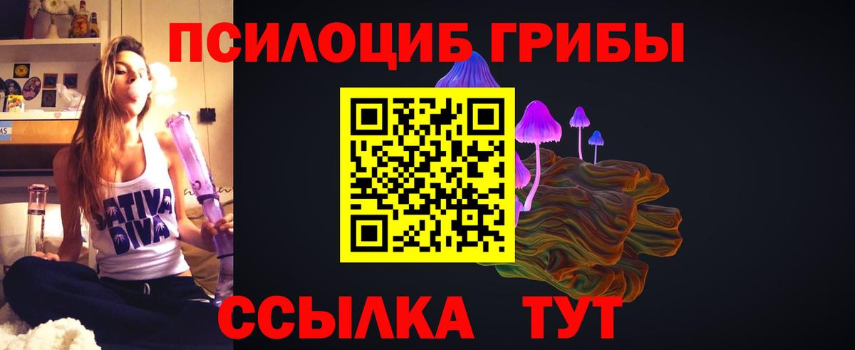 Псилоцибиновые грибы Cubensis Добрянка
